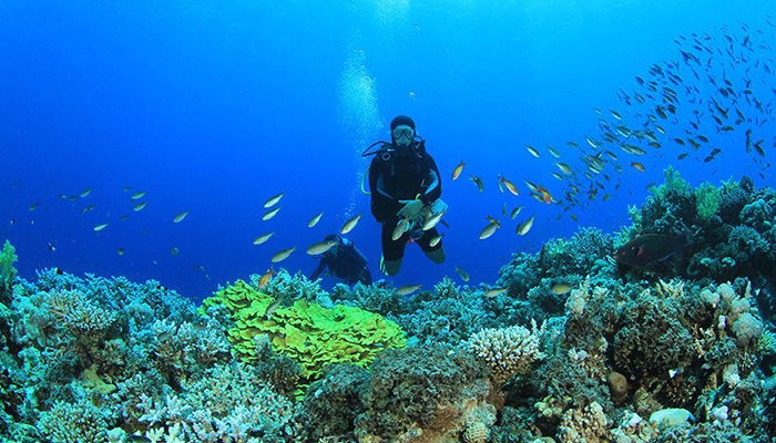 Tour Gallery Image 4